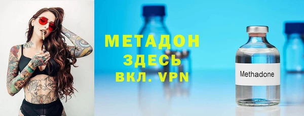 прущие грибы Каменка