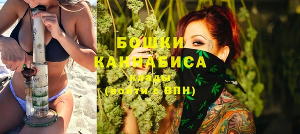 прущие грибы Каменка