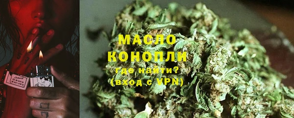 гидра Кинешма