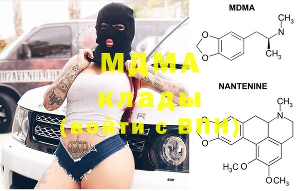 прущие грибы Каменка