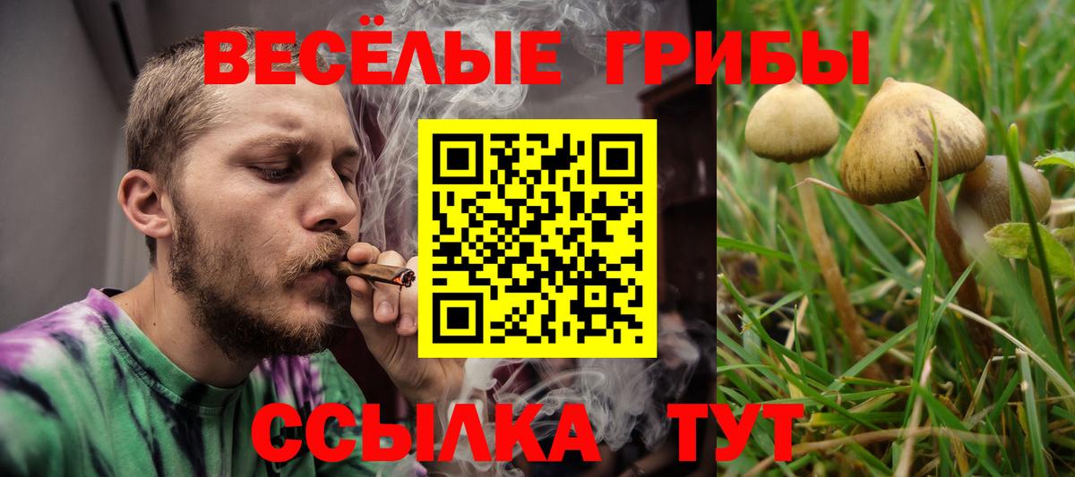 Краснознаменск  Конопля  Меф   Бошки Шишки  Вход с VPN  Гашиш  LSD-25 