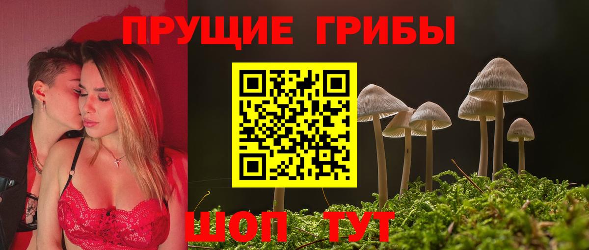 Галлюциногенные грибы Cubensis  Вход с VPN  Краснознаменск 