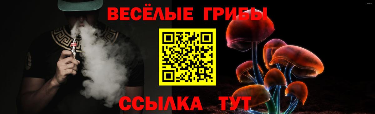 Галлюциногенные грибы Psilocybe  Краснознаменск  Галлюциногенные грибы прущие грибы 