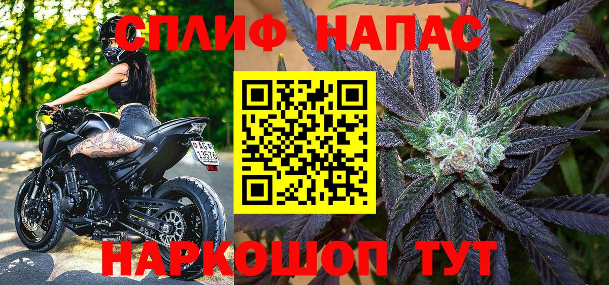 Бошки марихуана конопля Краснознаменск