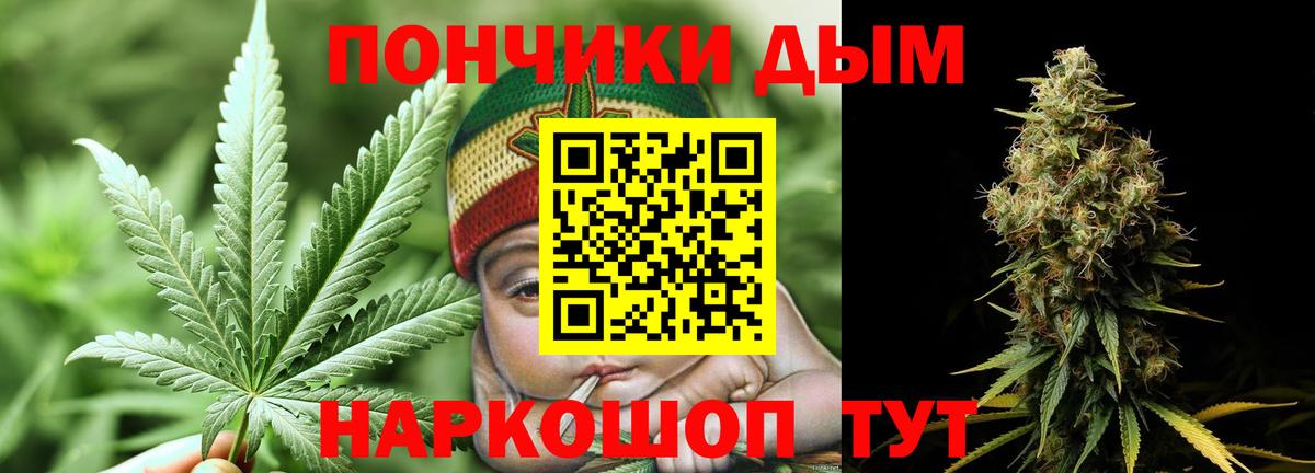 Шишки марихуана тримм  Вход с VPN  Краснознаменск  МАРИХУАНА MAZAR 